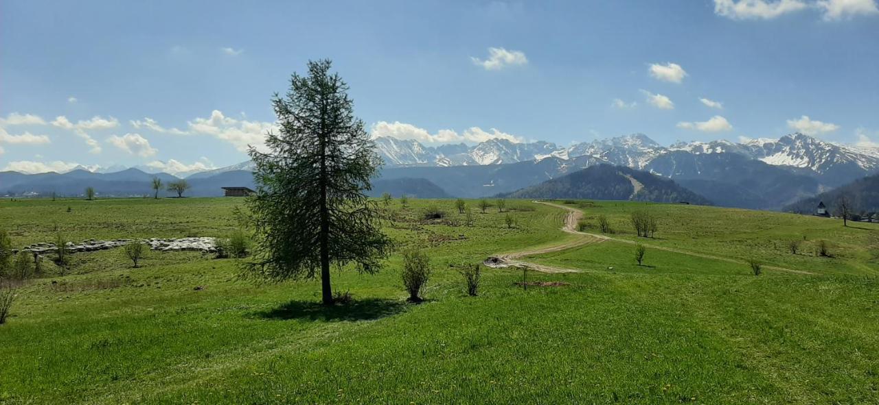 Pokoje Goscinne Przeklasa Pawel Zakopane Kültér fotó