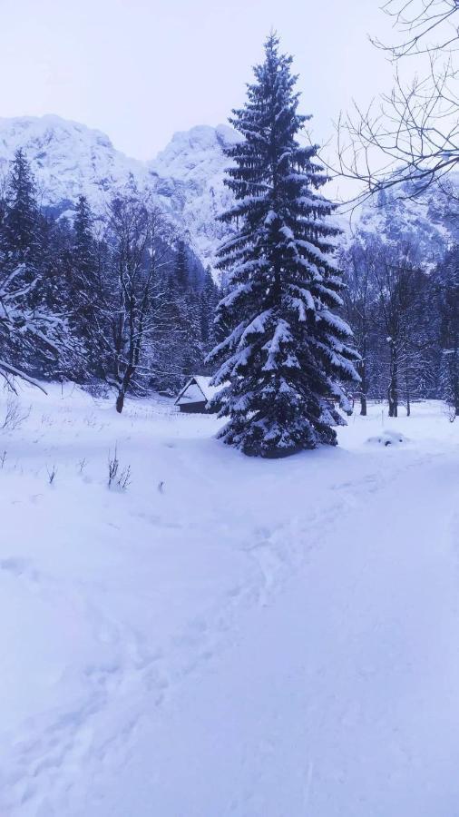 Pokoje Goscinne Przeklasa Pawel Zakopane Kültér fotó
